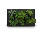 Tenture murale en fausse plante succulente verdoyante